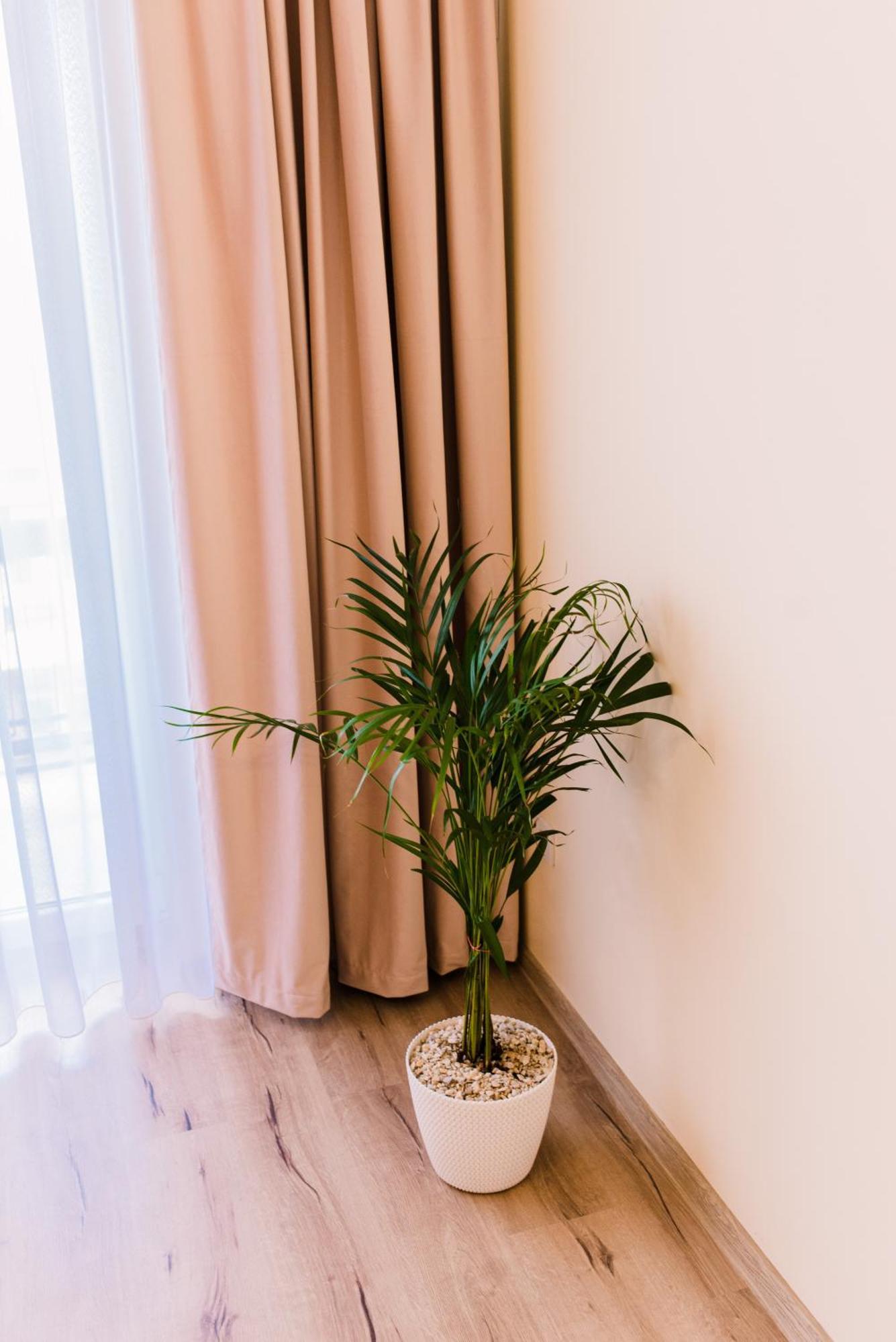 Central White Apartment ساتو ماري المظهر الخارجي الصورة